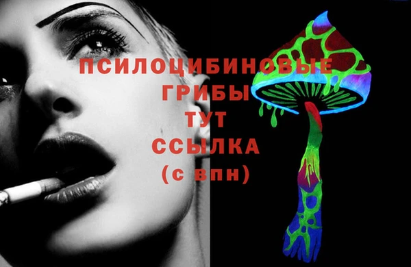 дурь Аркадак