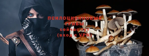 PSILOCYBIN Арсеньев