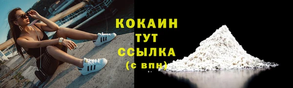 сатива Армянск
