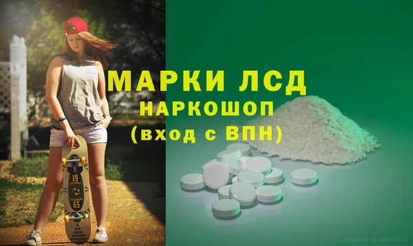 сатива Армянск